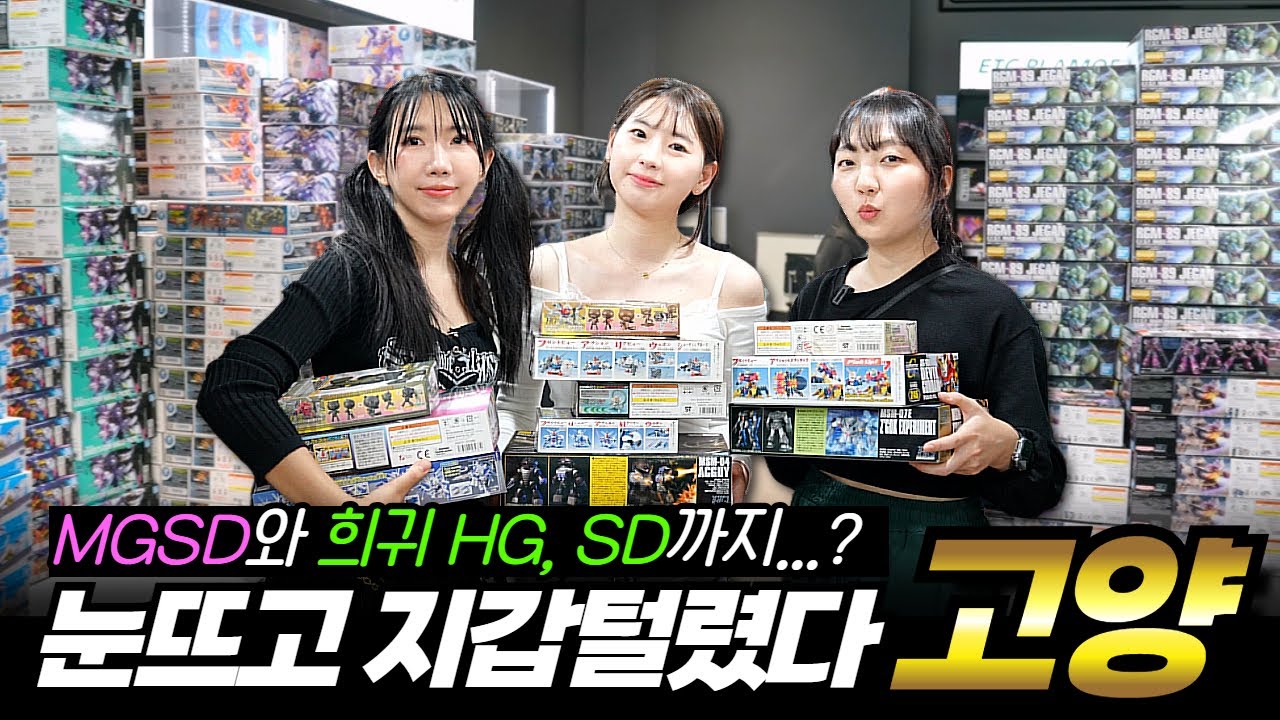 건담에 60만원 태운 여자들 Feat. 잔액부족 | 경기도 고양