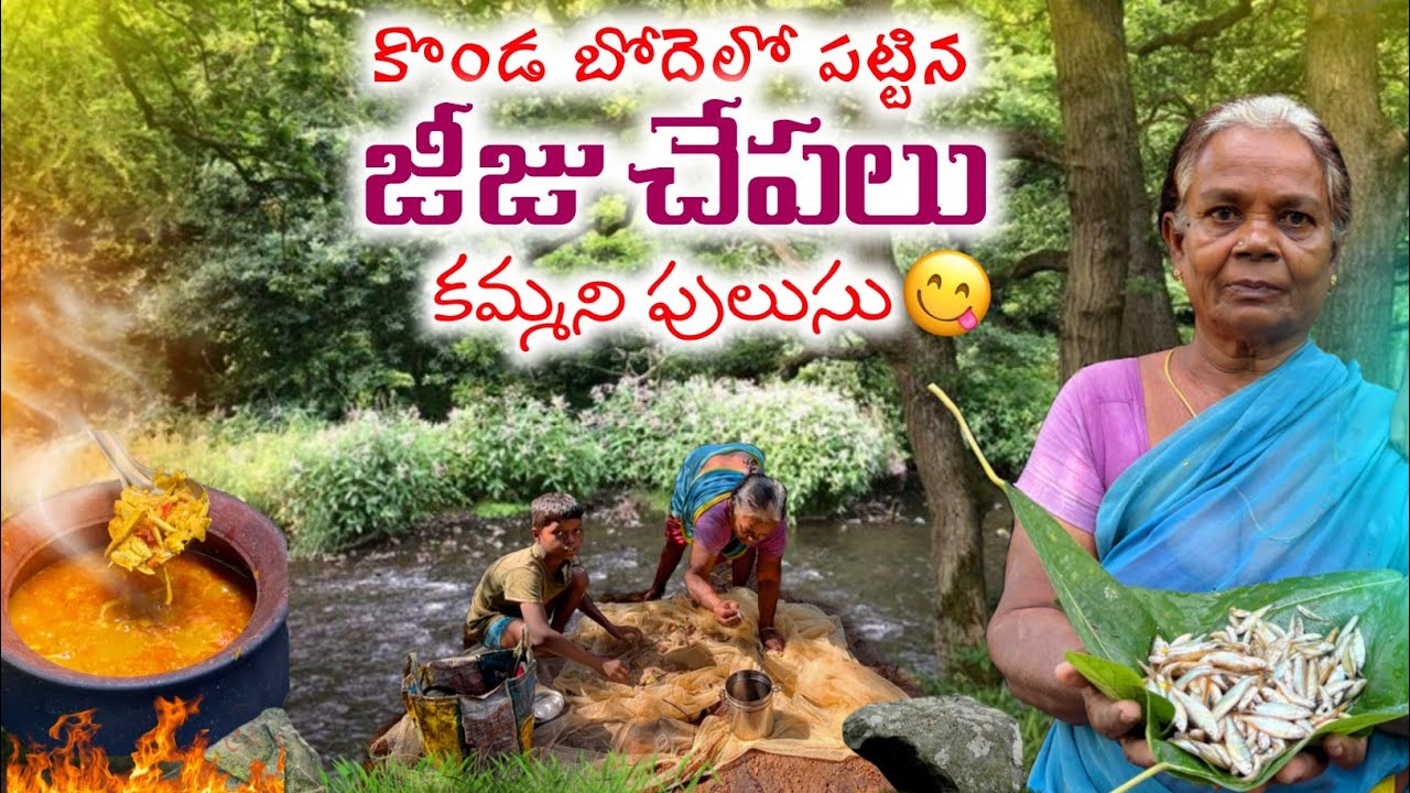 Tiny FISH curry of tribals:మా ప్రాంతంలో ఎంతో ఇష్టంగా తినే జీజుల పులుసు/కొండబోదెలోవేట@TribalMirror 