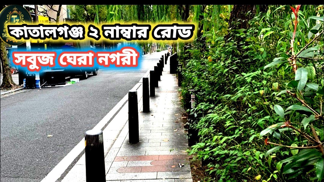 কাতালগঞ্জ ২ নাম্বার রোড। চট্টগ্রাম। সবুজে ছায়া এক মায়াবী নগরী। যা দেখে অবাক হলাম! 