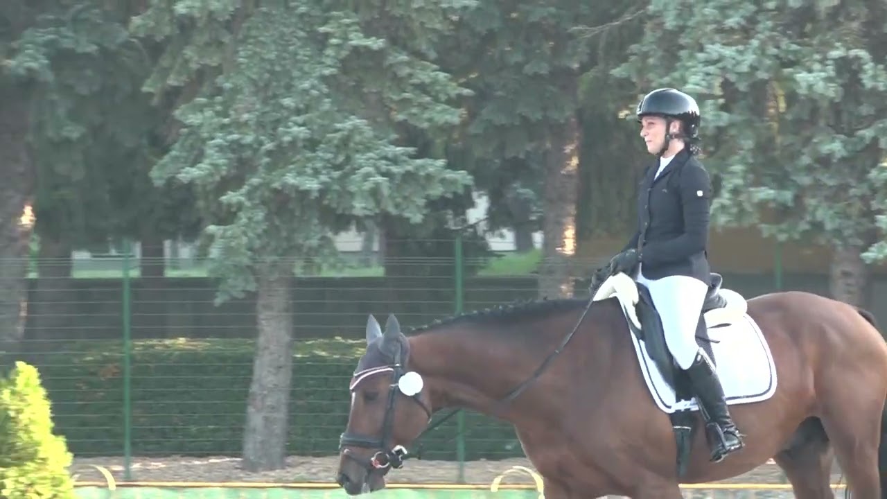 Tóth Noémi - Cherish the Moment - CCI*** - Bábolna 2022 október 7-9