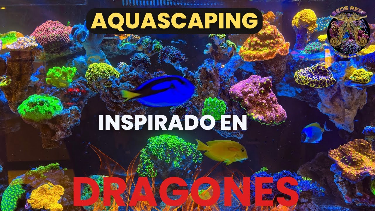 Aquascaping inspirado por dragones