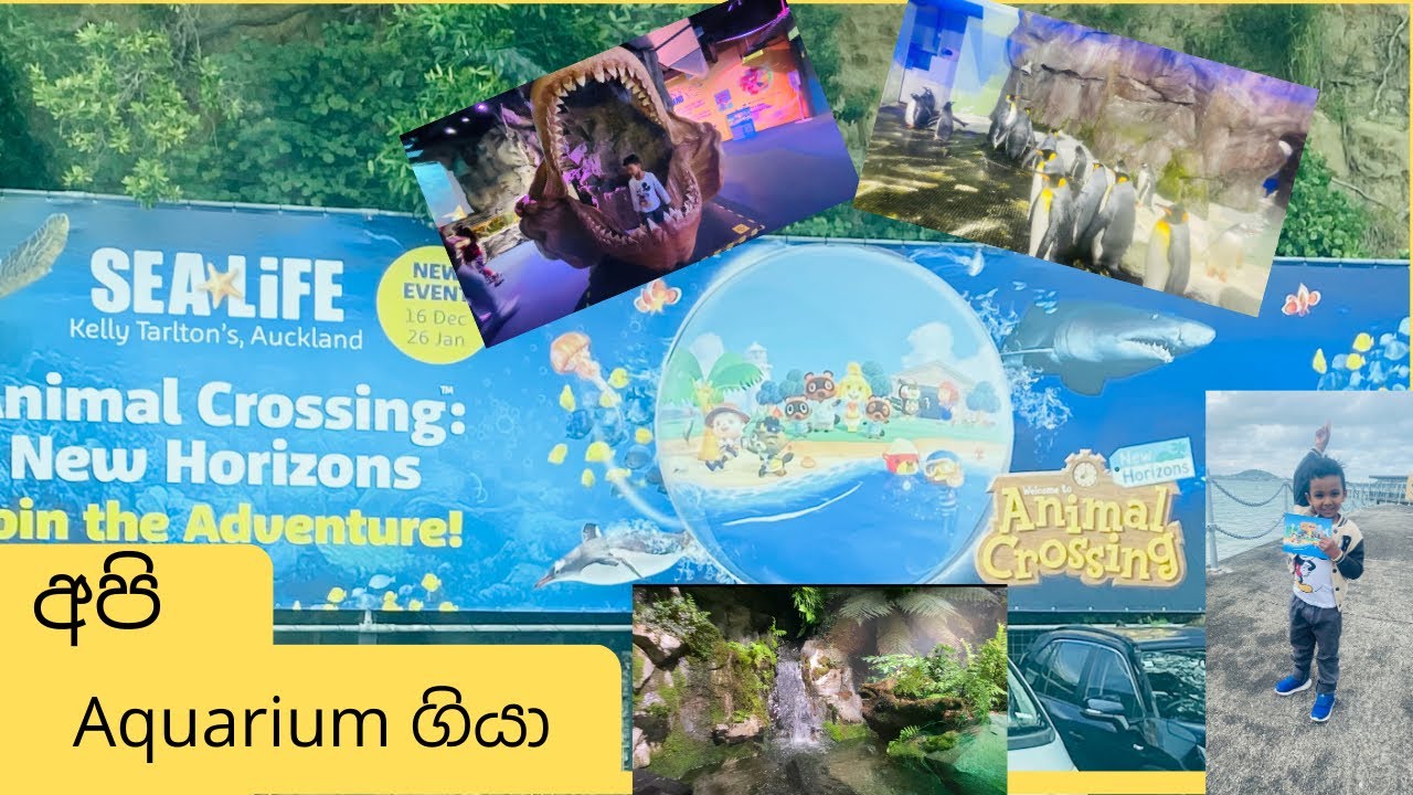 Auckland Aquarium ✨