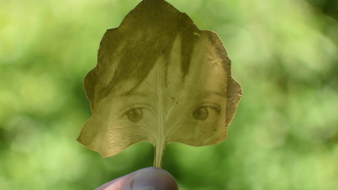 El extraño caso del jardinero - Fede Ruiz Santesteban