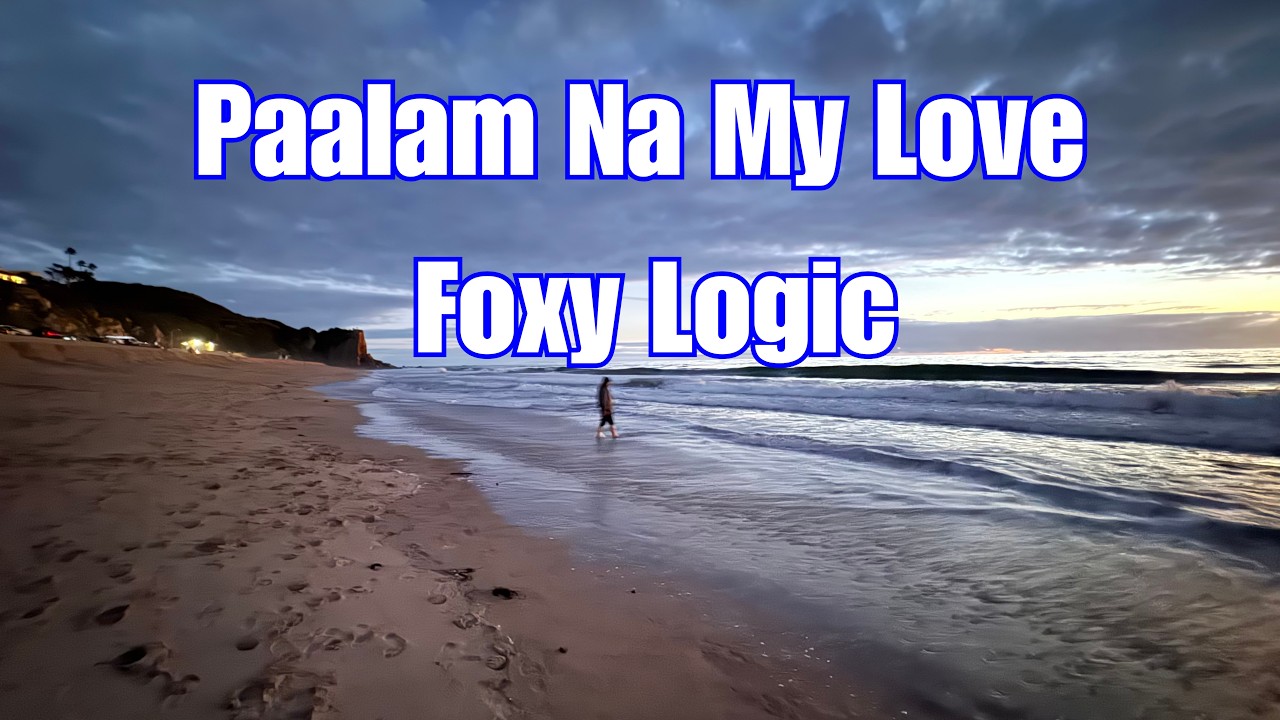Paalam Na My Love by FoxyLogic | Drone Video Shots at Point Dume Malibu California