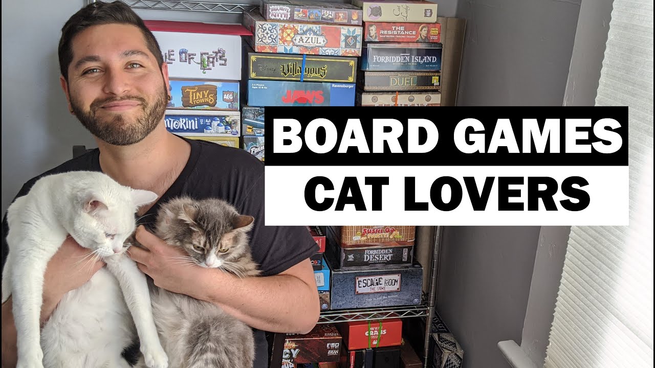 5 Best Cat Games for Cat Lovers