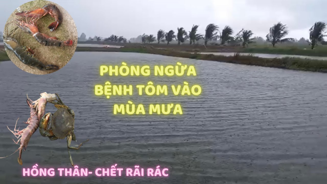 CHIA SẼ KINH NGHIỆM D&Ugrave;NG 