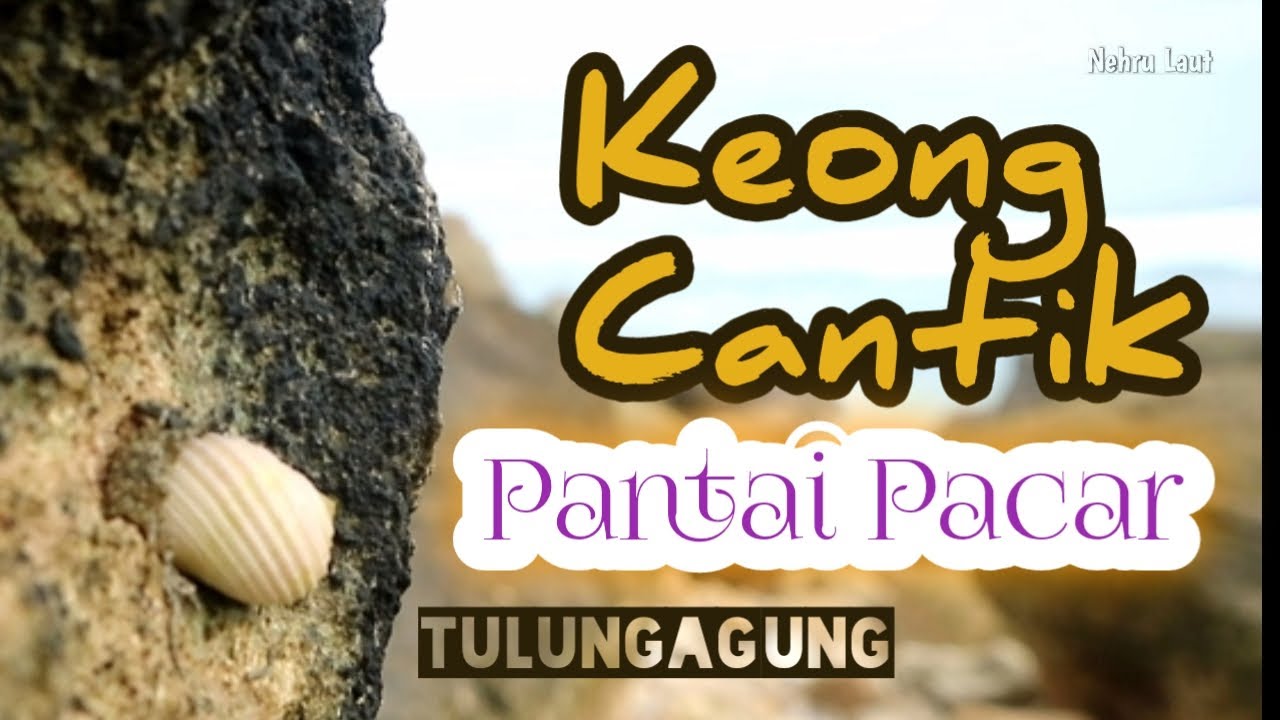 Pantai Pacar Tulungagung Keong Cantik