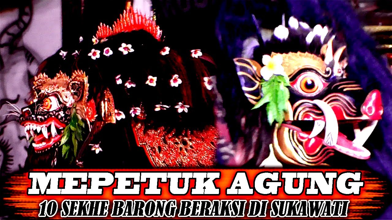 MEPETUK AGUNG 10 BARONG BANGKUNG ATRAKSI DI DESA SUKAWATI