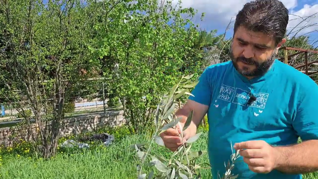 Διαχείριση χόρτων για υγεία εδάφους