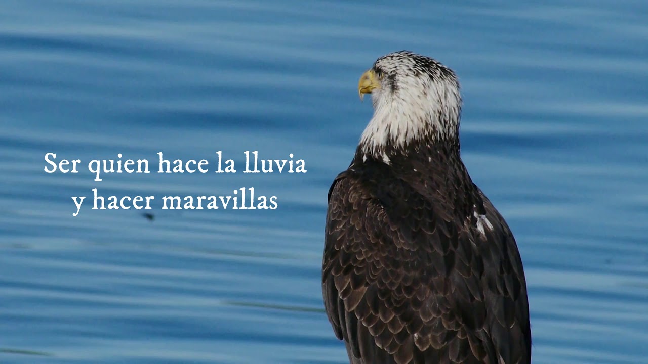EL AGUILA NEGRA.Bárbara