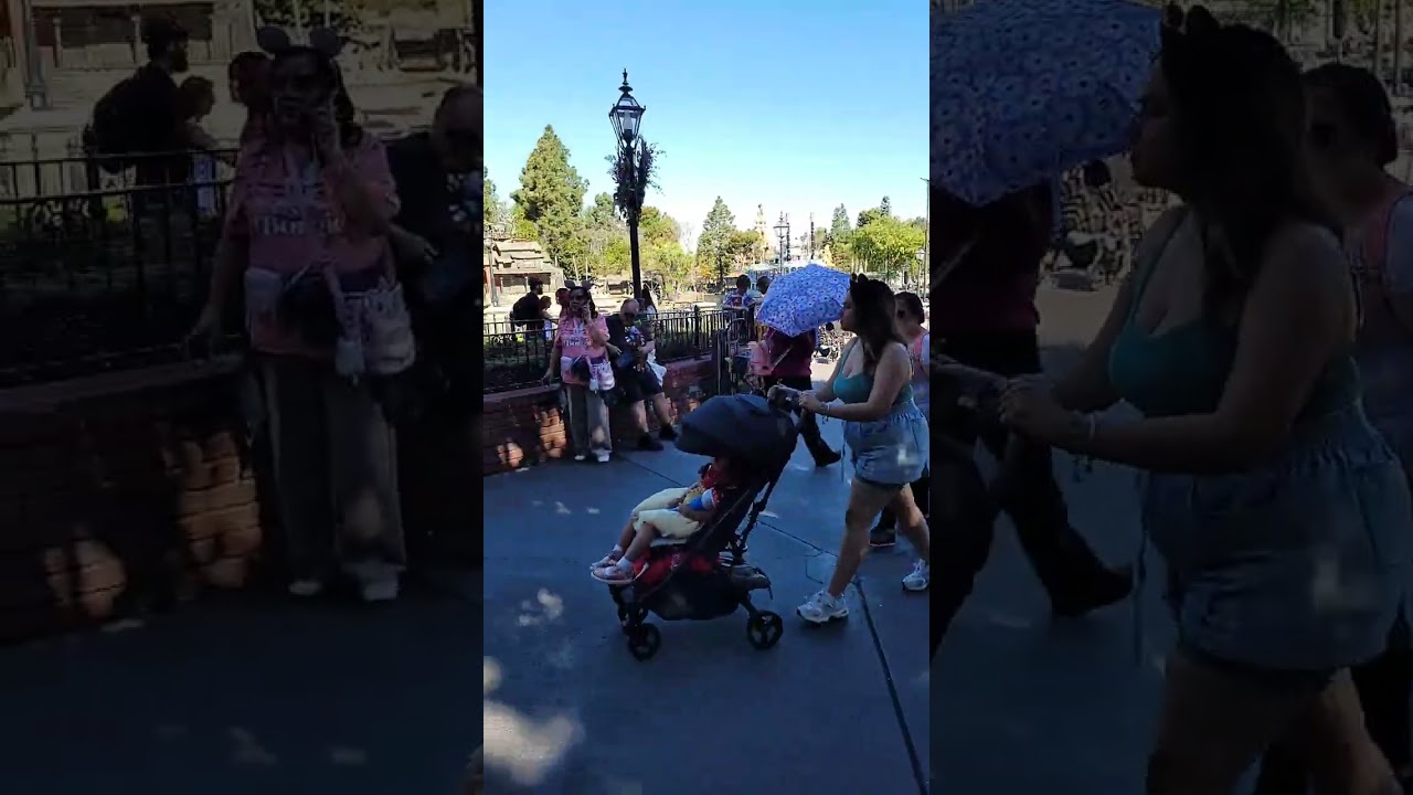 Disneyland Stream #3