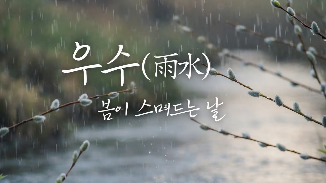 우수(雨水) 🌧️ 봄이 스며드는 날 | 겨울 끝에서 부르는 봄의 이름