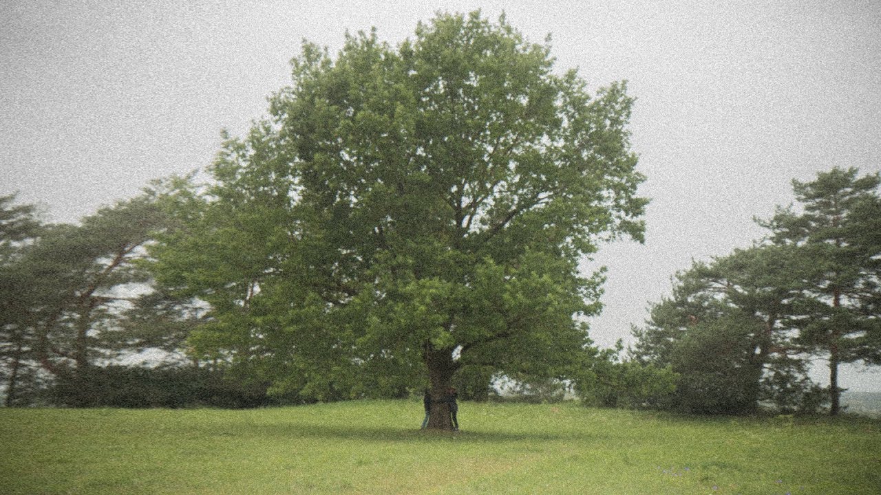 Pilnatys - Kaip greit bėga laikas