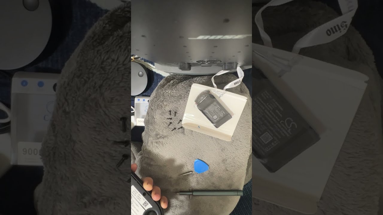 Beoplay P2 Battery replacement