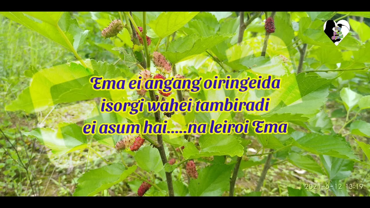Ema ei angang oiringei//Manipuri gospel song//Amom Rameshchandra//Covered by:-Shilshi Philip lamkang