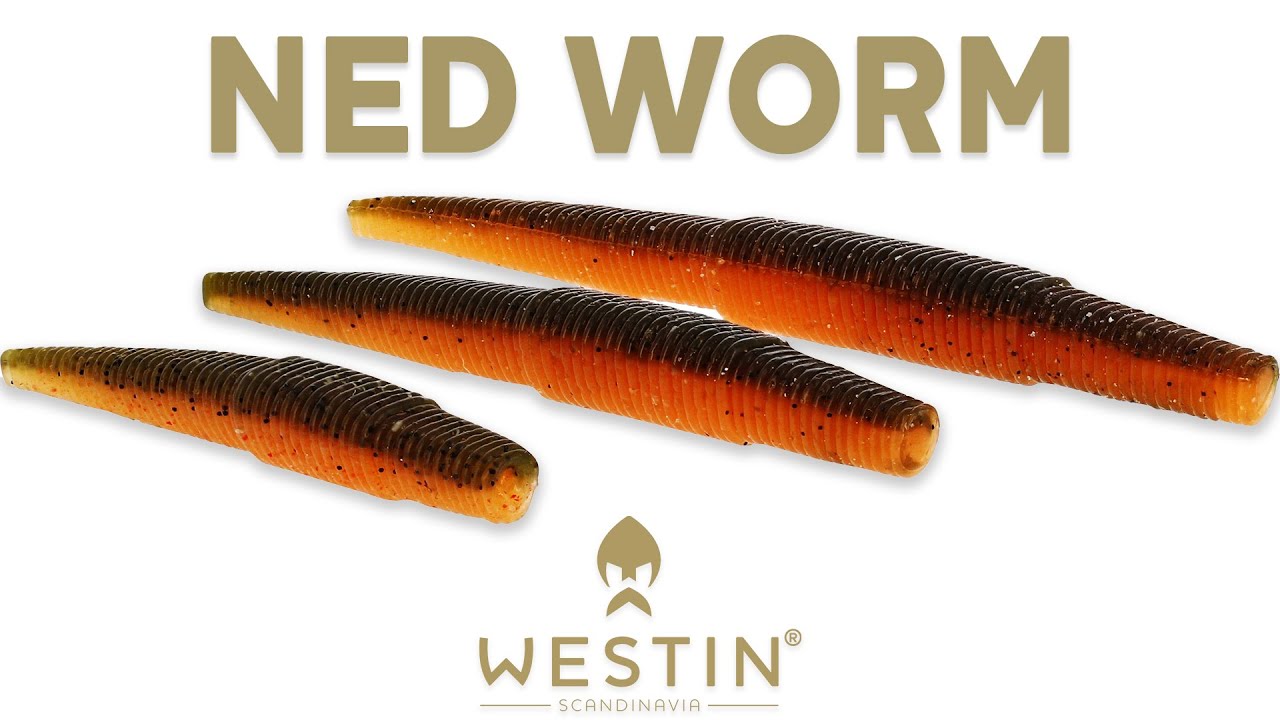 Ned Worm | Westin Fishing