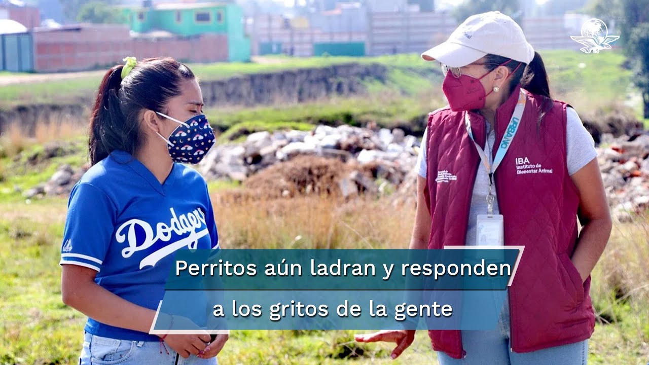 “Ayúdenme a rescatar a mi perrito”, pide Fátima, dueña del pitbull que cayó al socavón