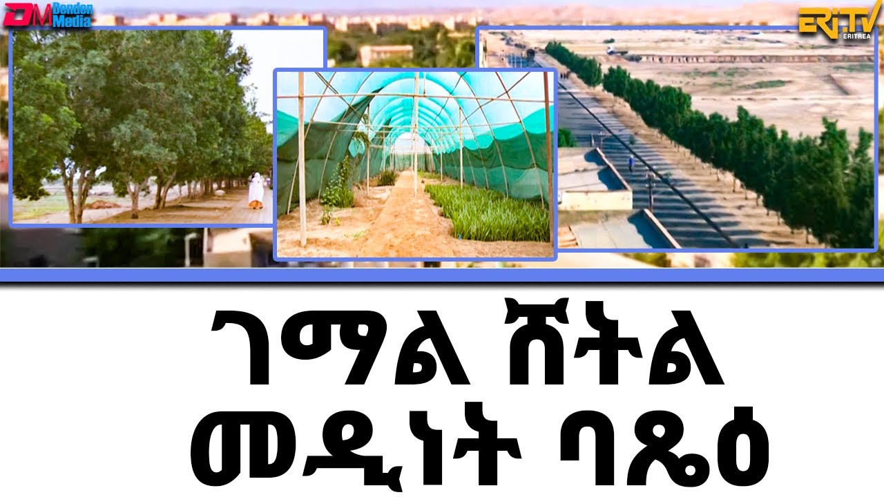 ገማል ሸትል መዲነት ባጼዕ - ሄራር | hierar - Planting trees in the city of Massawa (in Tigre & Tigrinya),ERi-TV