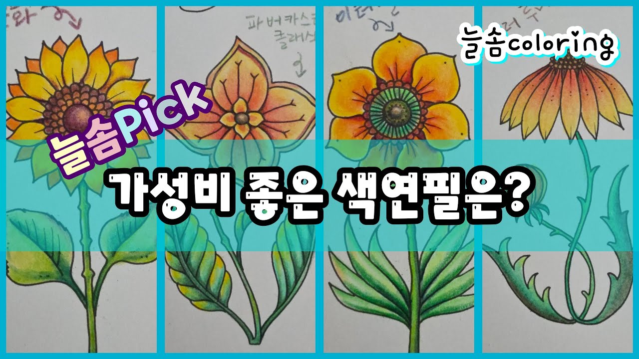 늘솜 Pick 가성비 색연필 4가지