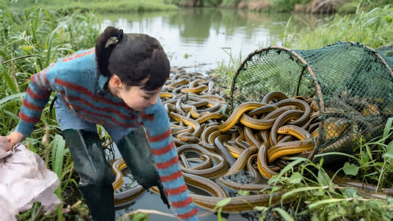 美女盘废弃鱼塘抓黄鳝，直接徒手抓大条子，太爽了！
