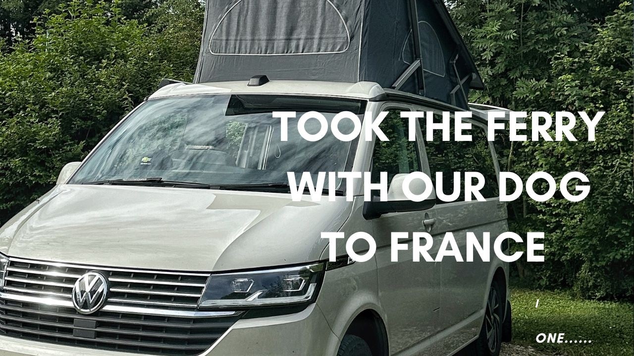 P&O Ferry to France with Our Dog in Pyppa our VW California Ocean Campervan