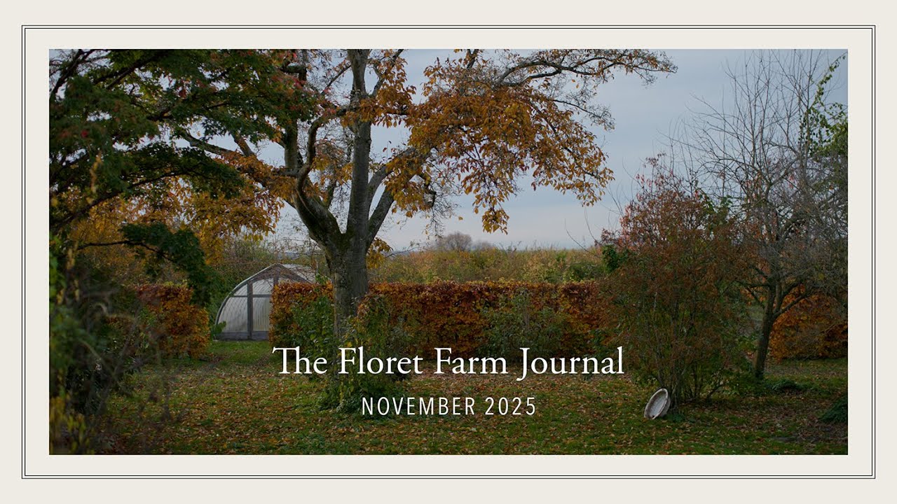 The Floret Farm Journal: November 2025