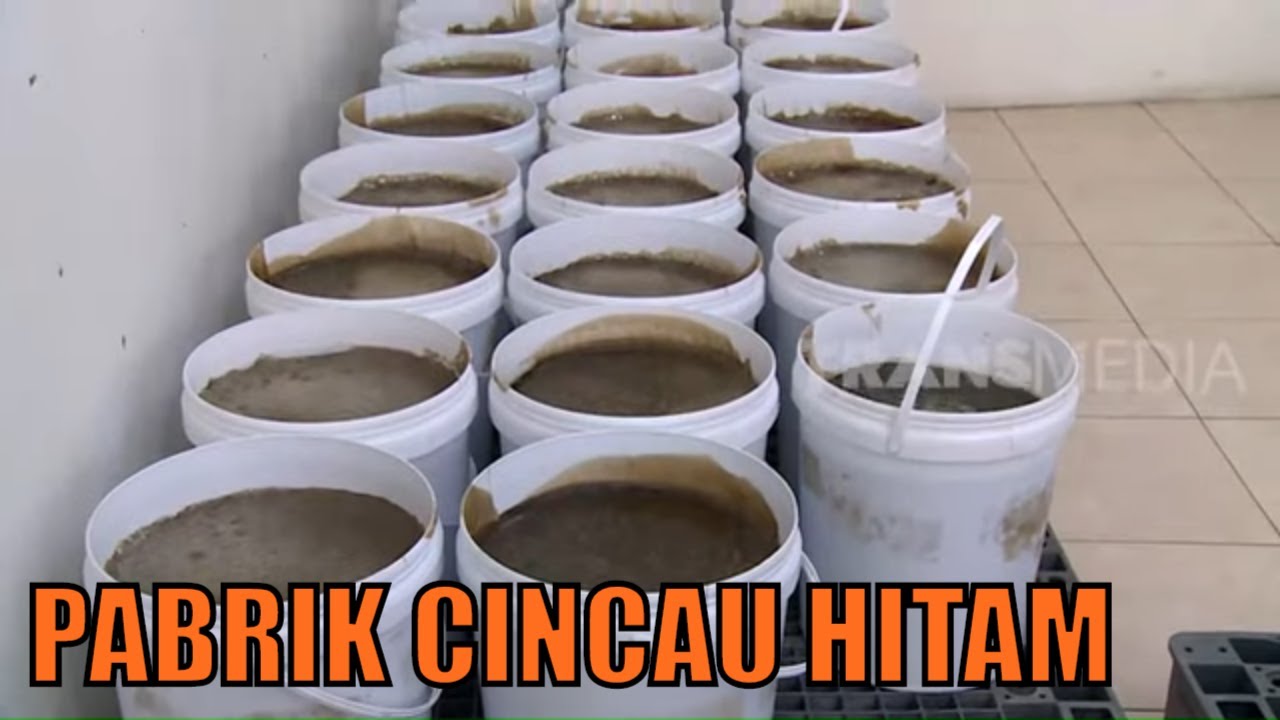 Kepoin Pabrik Pembuatan CINCAU HITAM | SI UNYIL (01/05/20)