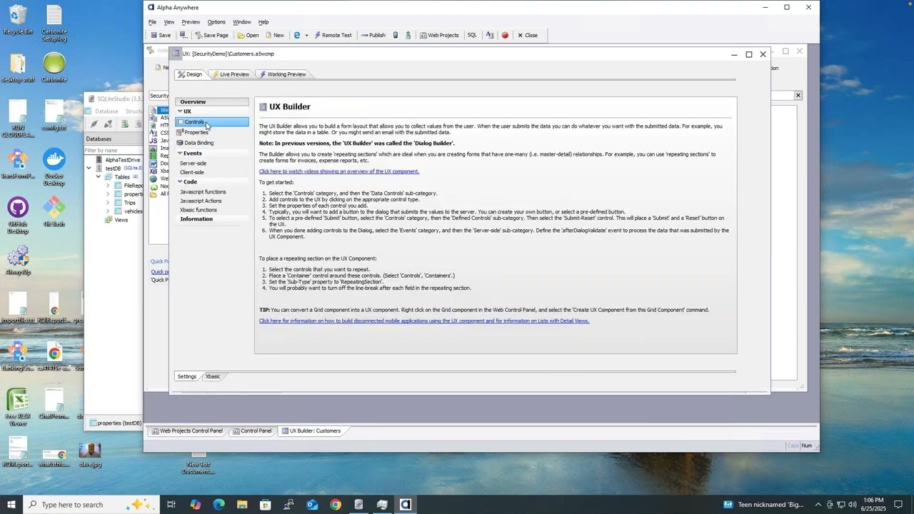Alpha Software Security Framework   June 25 2025