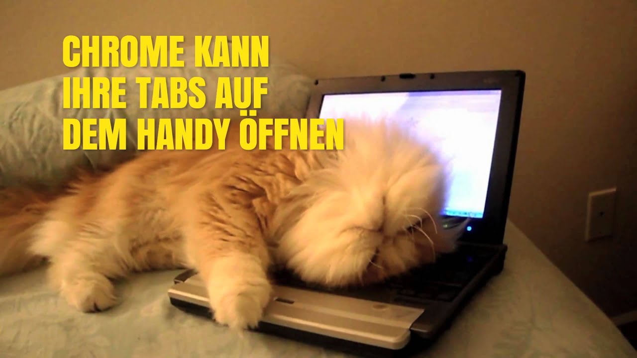 Chrome Cat