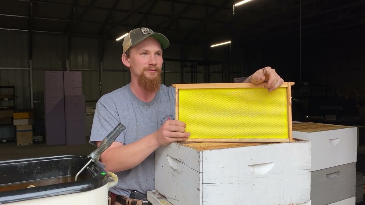 How to Make Bees Work Foundation