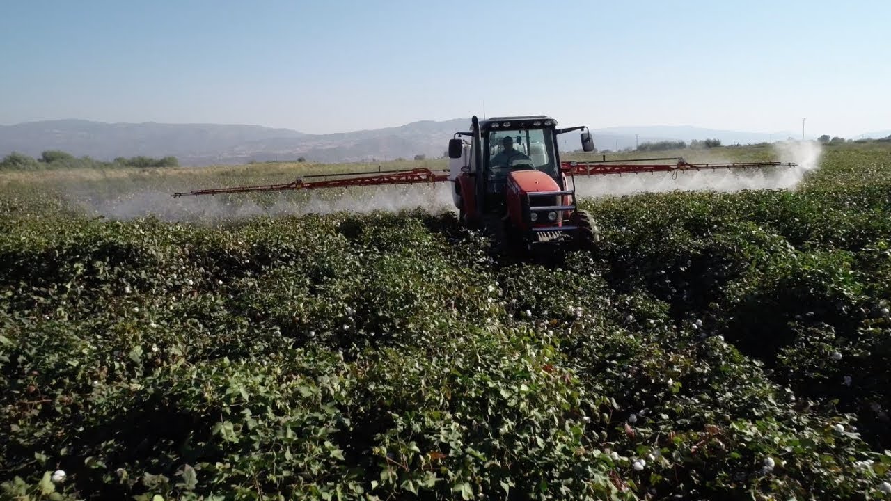 Pamuk İlaçlama - Massey Ferguson 5455 & Karaoğlu 1600 Tam Otomatik