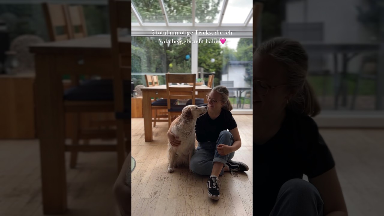 5 total unn&ouml;tige Tricks, die ich meinem Hund beigebracht habe. 🩷