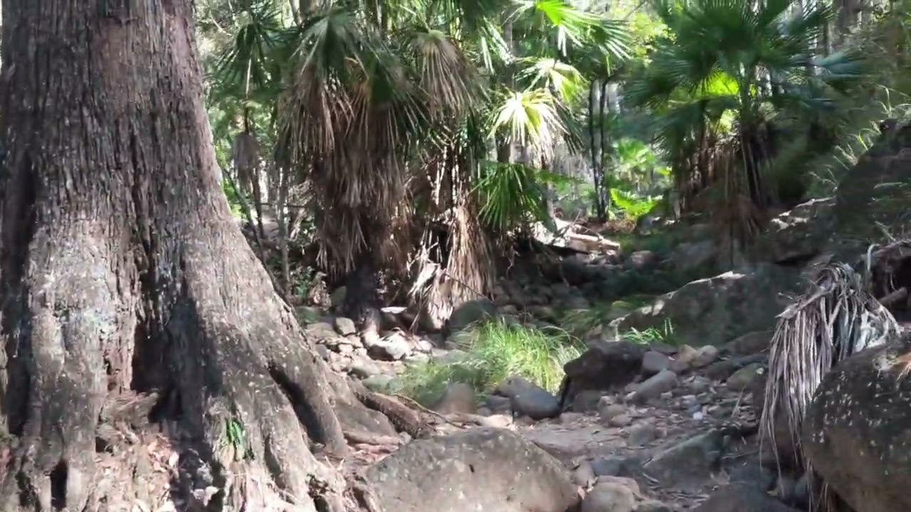 Carnarvon Gorge, Mickey Creek