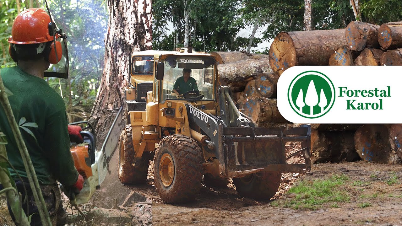 Proceso y transformación de la madera - Forestal Karol