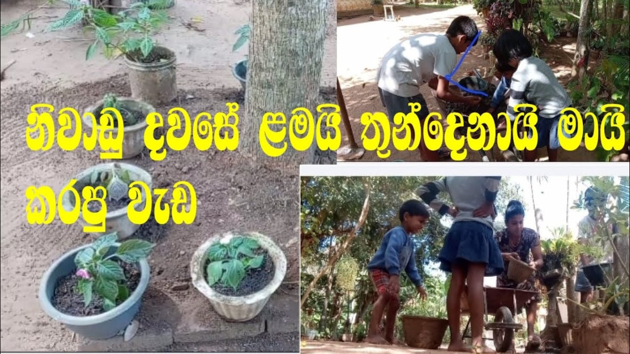 ළමයි එක්ක garden project එකක් ! Nimmi samantha vlog