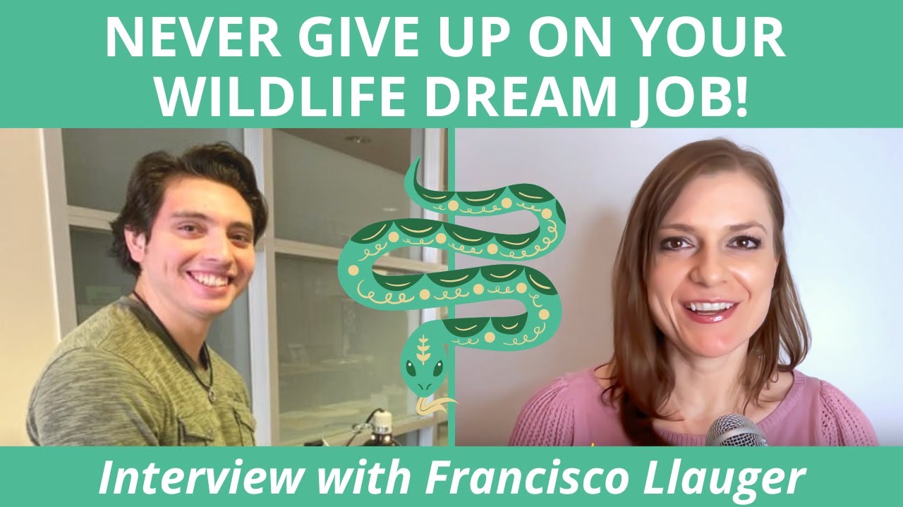 Never Give Up on Your Wildlife Dream Job! Interview with Francisco Llauger