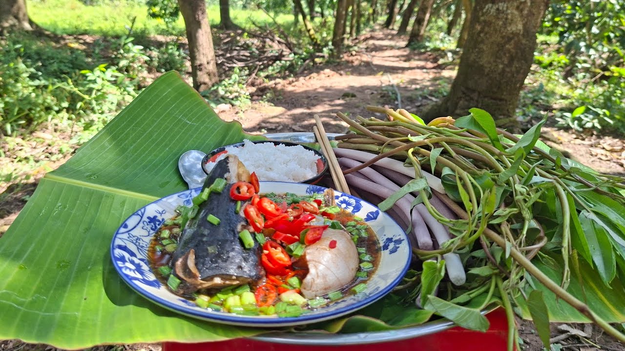 TƯ LANG THANG#ĂN CƠM RAU MUỐNG ĐÓ CHẤM CÁ CHA KHO LẠC
