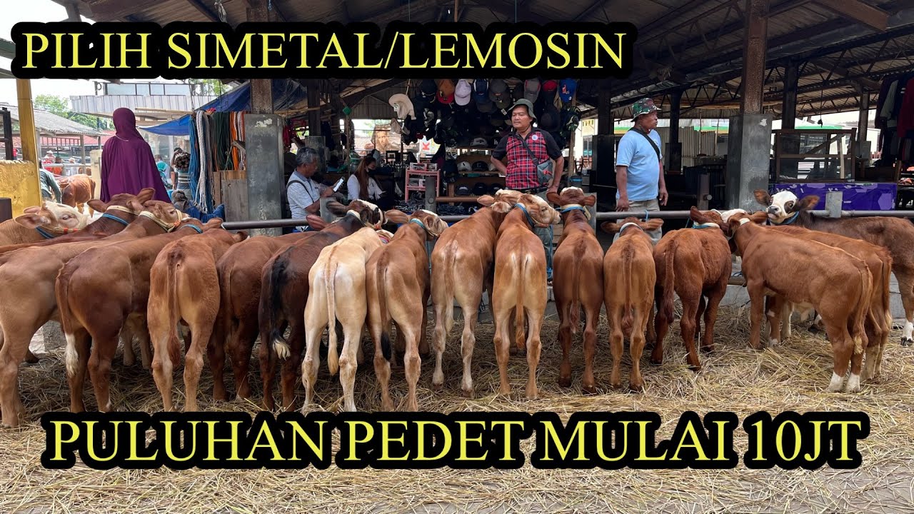 PULUHAN PEDETAN MAS ROHMAN PASAR PON AMBARAWA