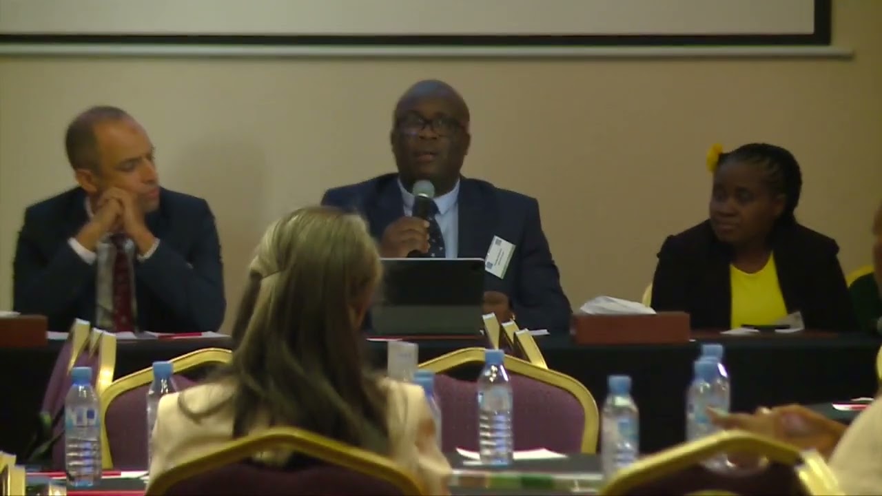 AME RRT 2025: Embedding sustainability into African insurance markets