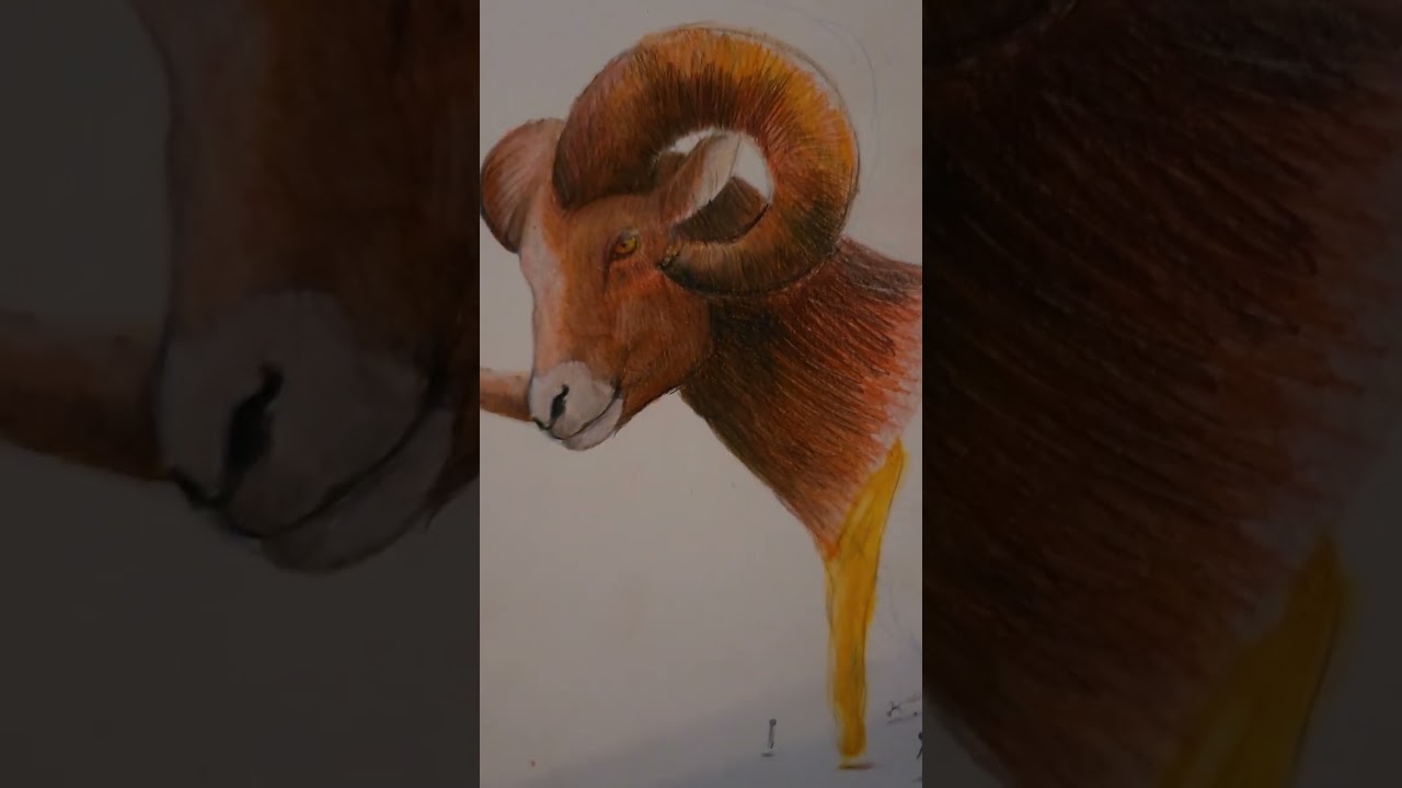 the goat  🐐#shorts #goat #art #surrealism #colorpencil