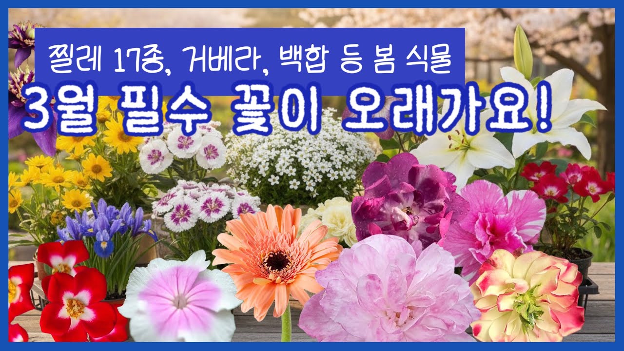 [봄특집] 지금 안 심으면 1년 후회! 매년 꽃 피는 노지월동 야생화 & 봄꽃 100종 대공개 🌸  역대급 입고 리스트 (가격·키우는 법·노지월동 총정리)