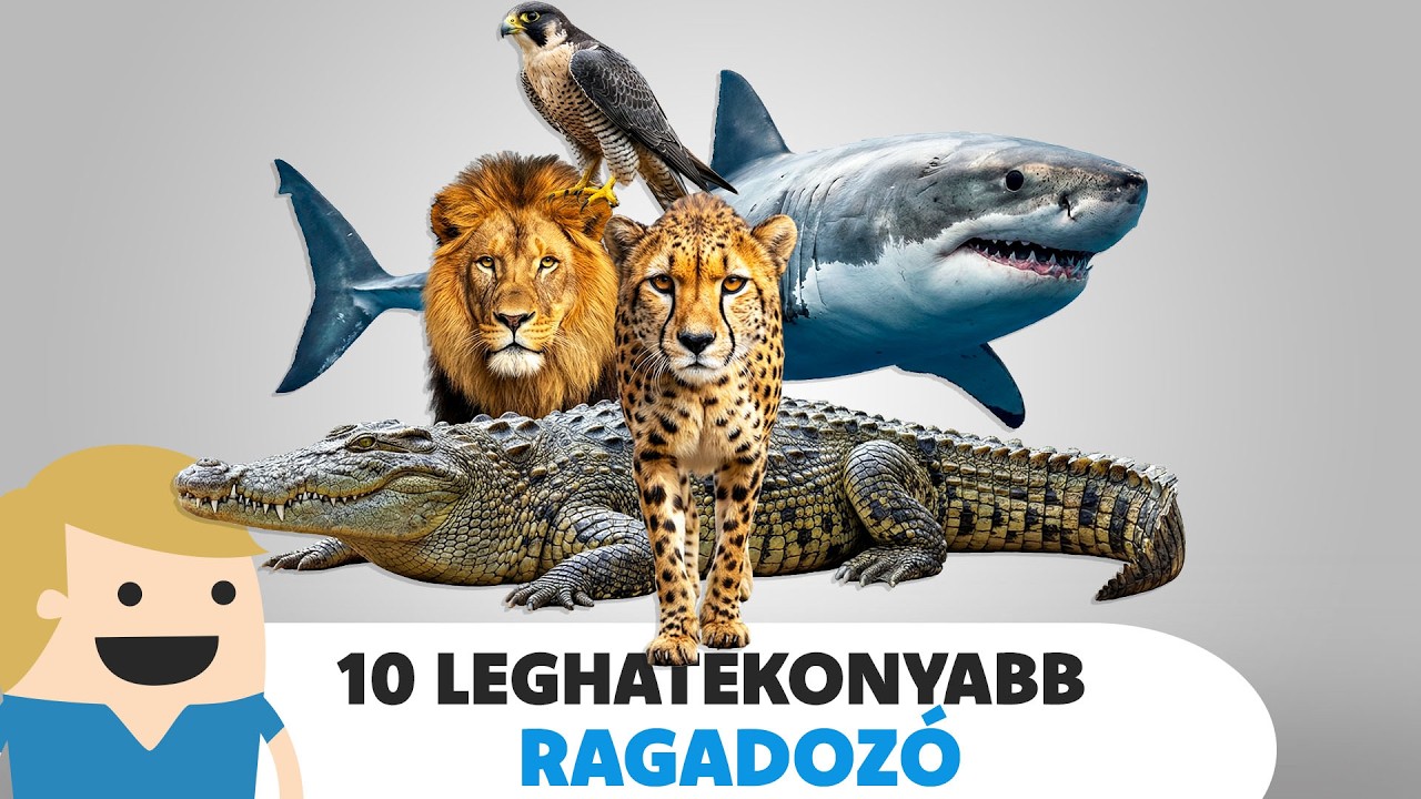 10 leghatékonyabb Ragadozó a Földön!