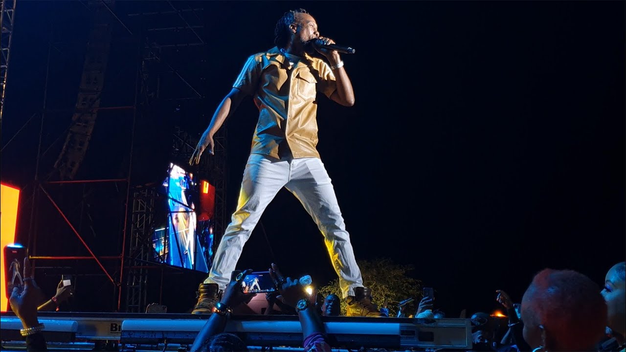 Lil Rick - GLAMOUR GIRL WINE, TALK FA ME, ABC, Bajan OLD DUB Hits | Barbados Reggae 2024