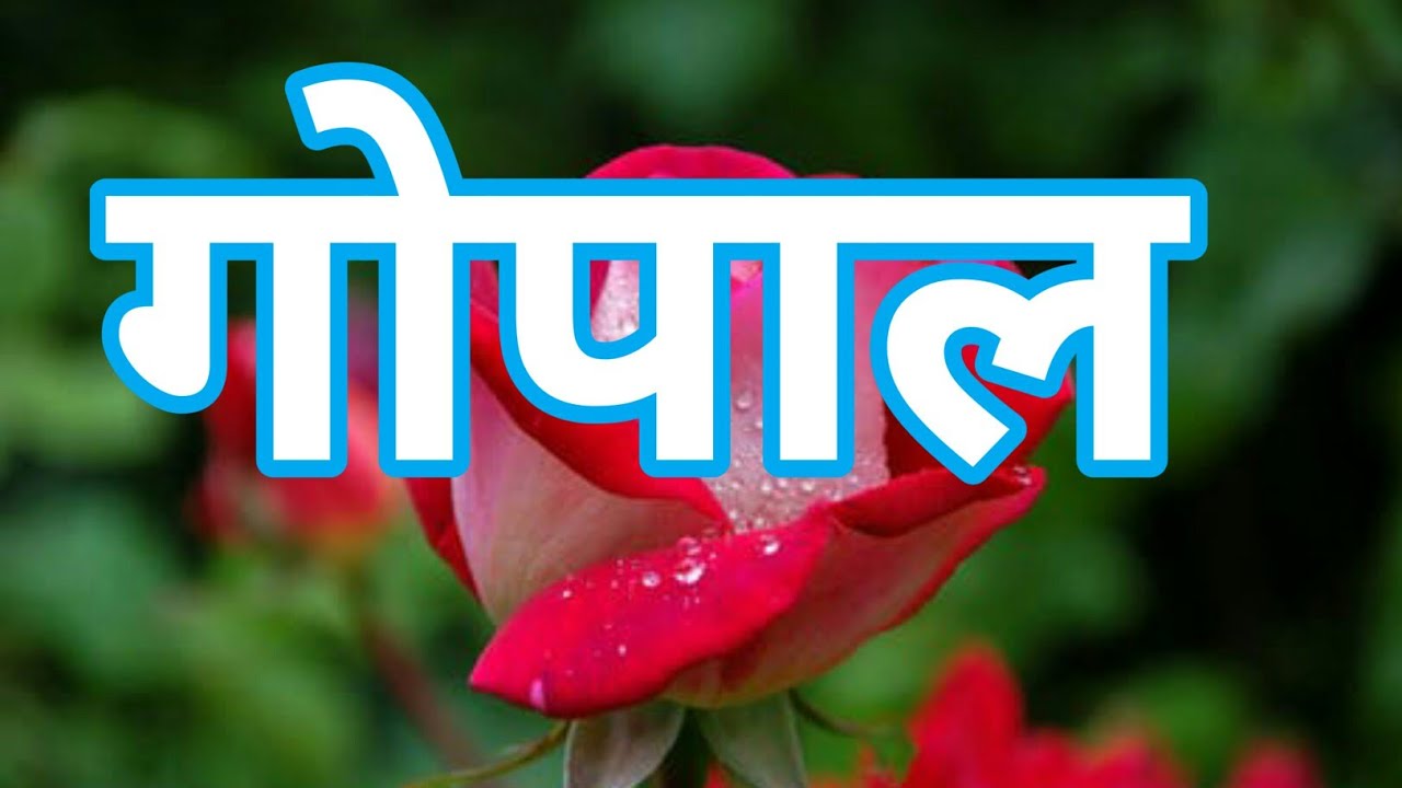 गोपाल नेम रिंगटोन| gopal name ringtone | gopal naam ki ringtone| gopal Kumar ji kripya phone uthao