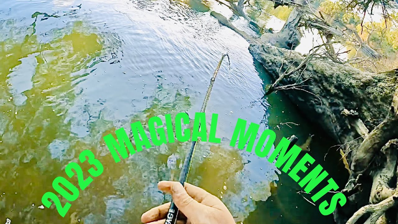 2023 TOP 8 AUSTRALIAN FRESHWATER FISHING MOMENTS - Murray Cod and Trout Cod