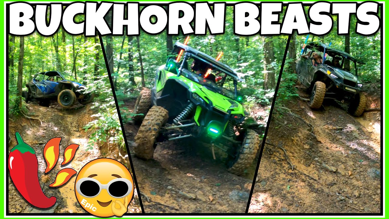 Buckhorn OHV trails 📍Arkansas west side UTV group ride