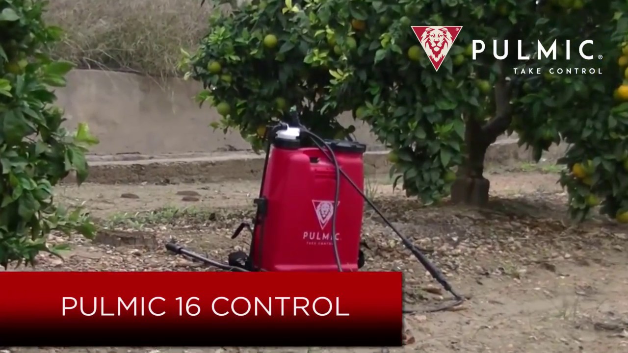 Pulmic Raptor 16 Control English version