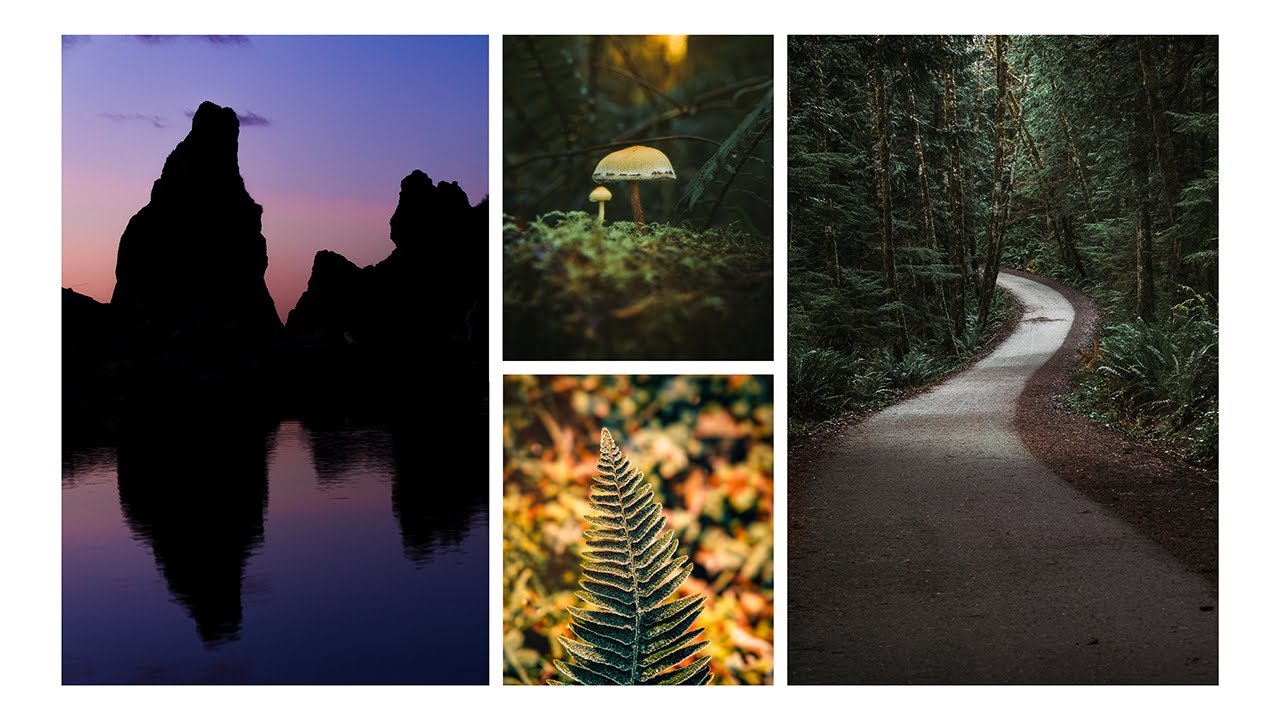 Solo Winter Camping in Olympic National Park: Ruby Beach sunrise & sunset and 2 peaceful hikes. 🌲🌅🏕️