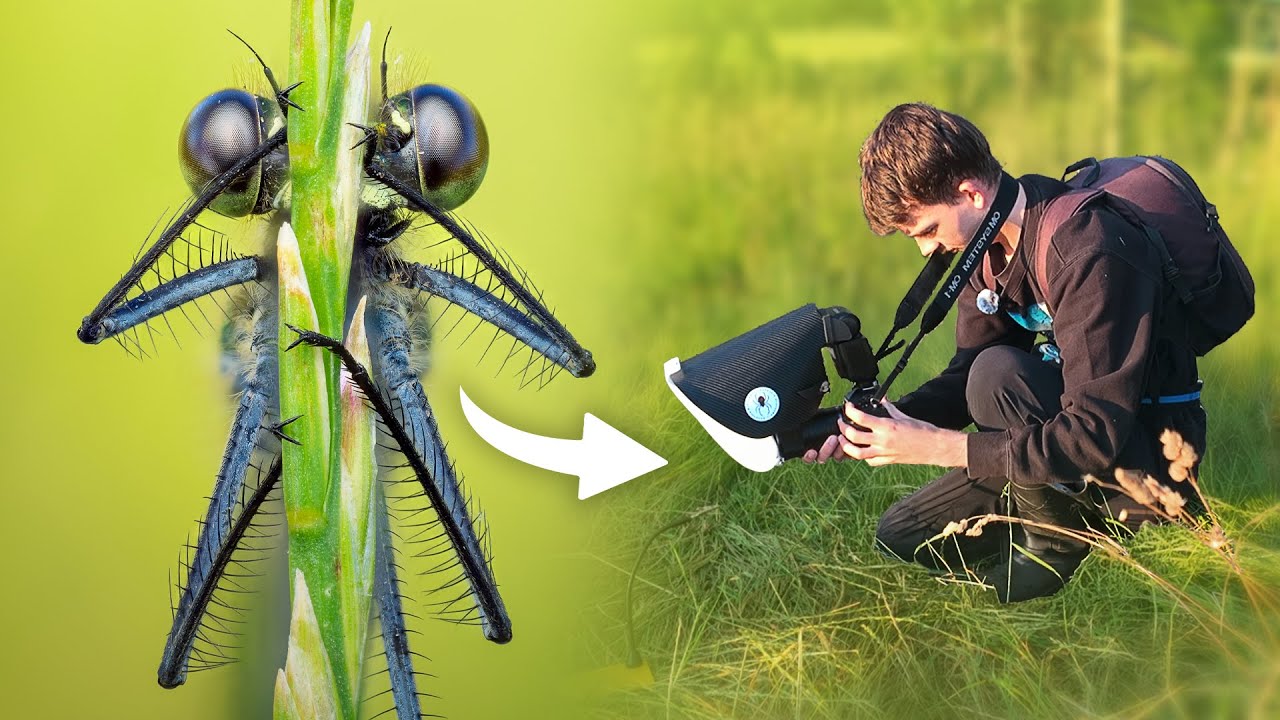 Are These My Best Damselfly Shots Yet? - Macro Vlog 2
