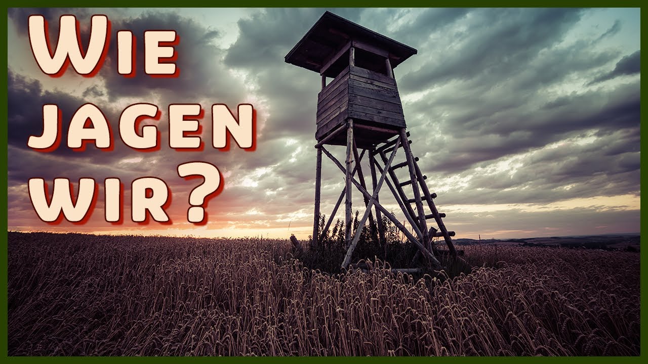 Jagdarten im Überblick: Ansitz, Drückjagd, Pirsch leicht erklärt!